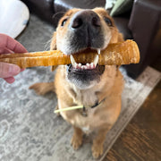 Purely Paws Natural Beef Trachea