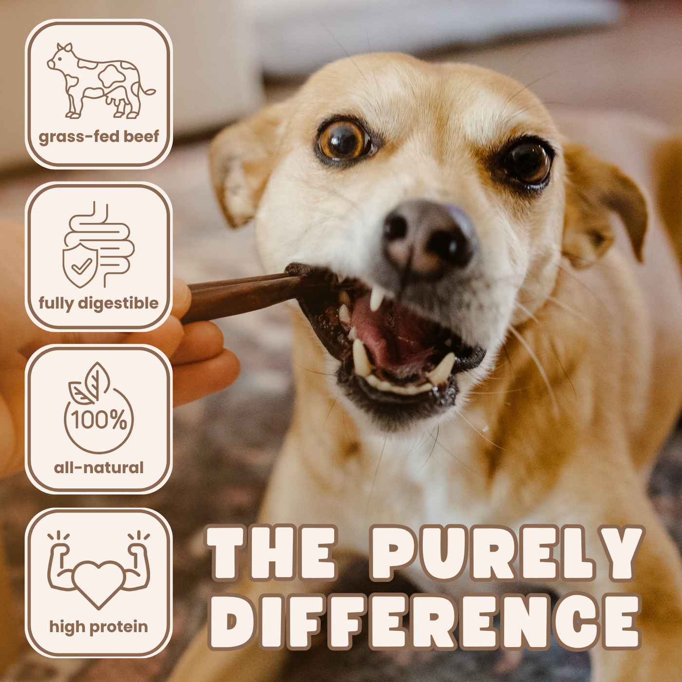 Purely Paws Natural Beef Esophagus Sticks