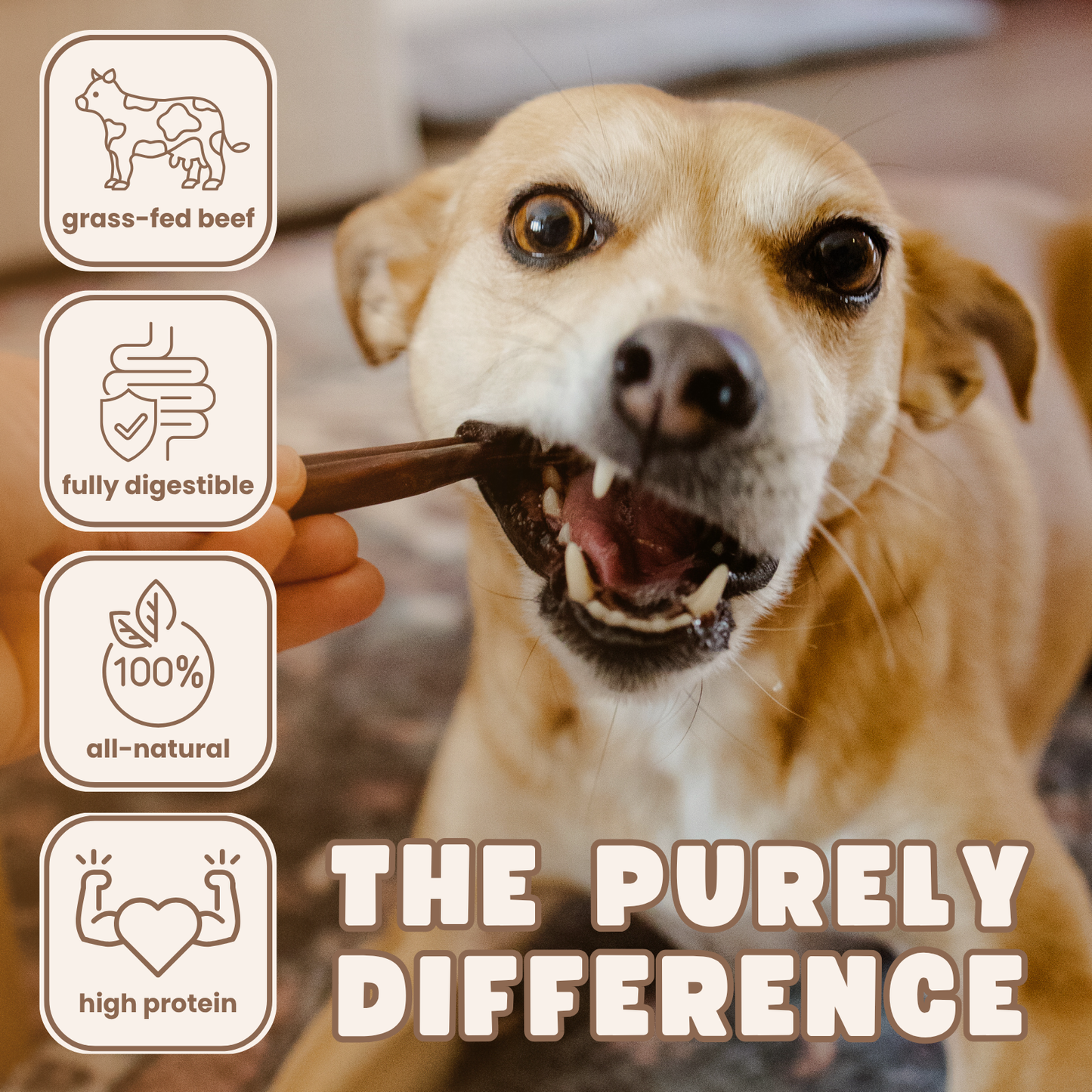 Purely Paws Natural Beef Esophagus Sticks