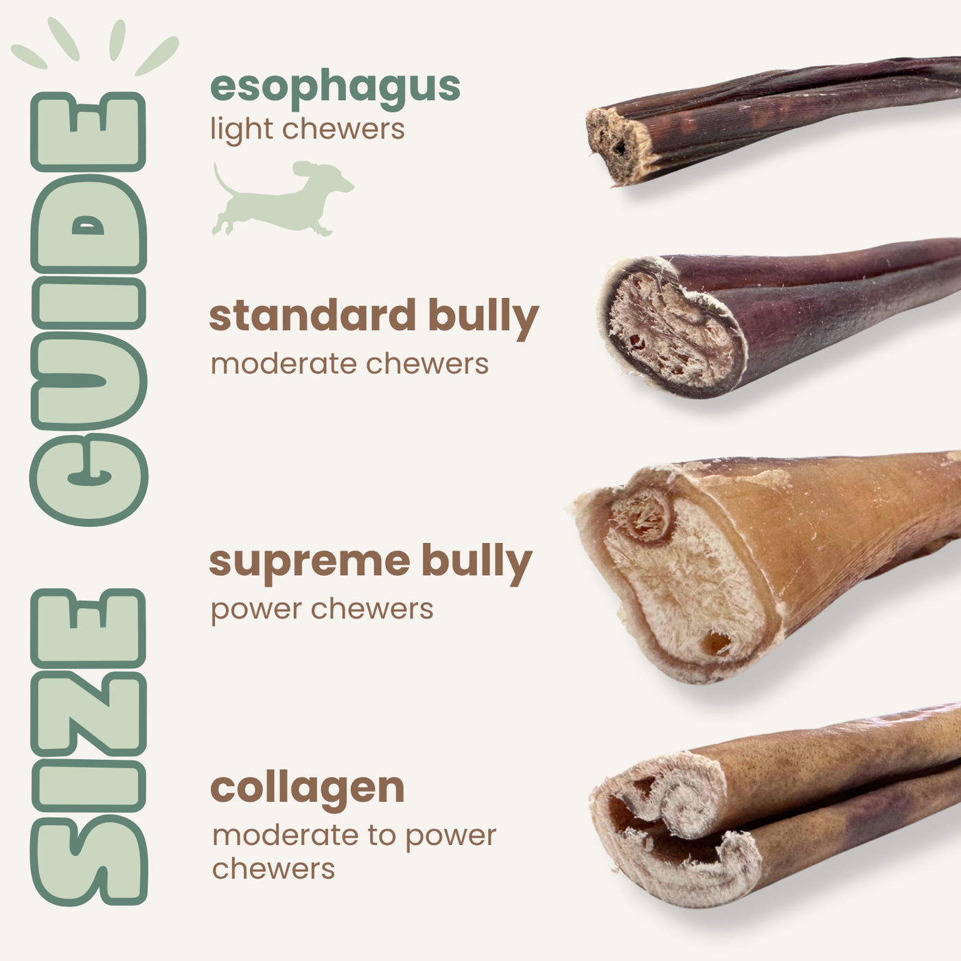 Purely Paws Natural Beef Esophagus Sticks