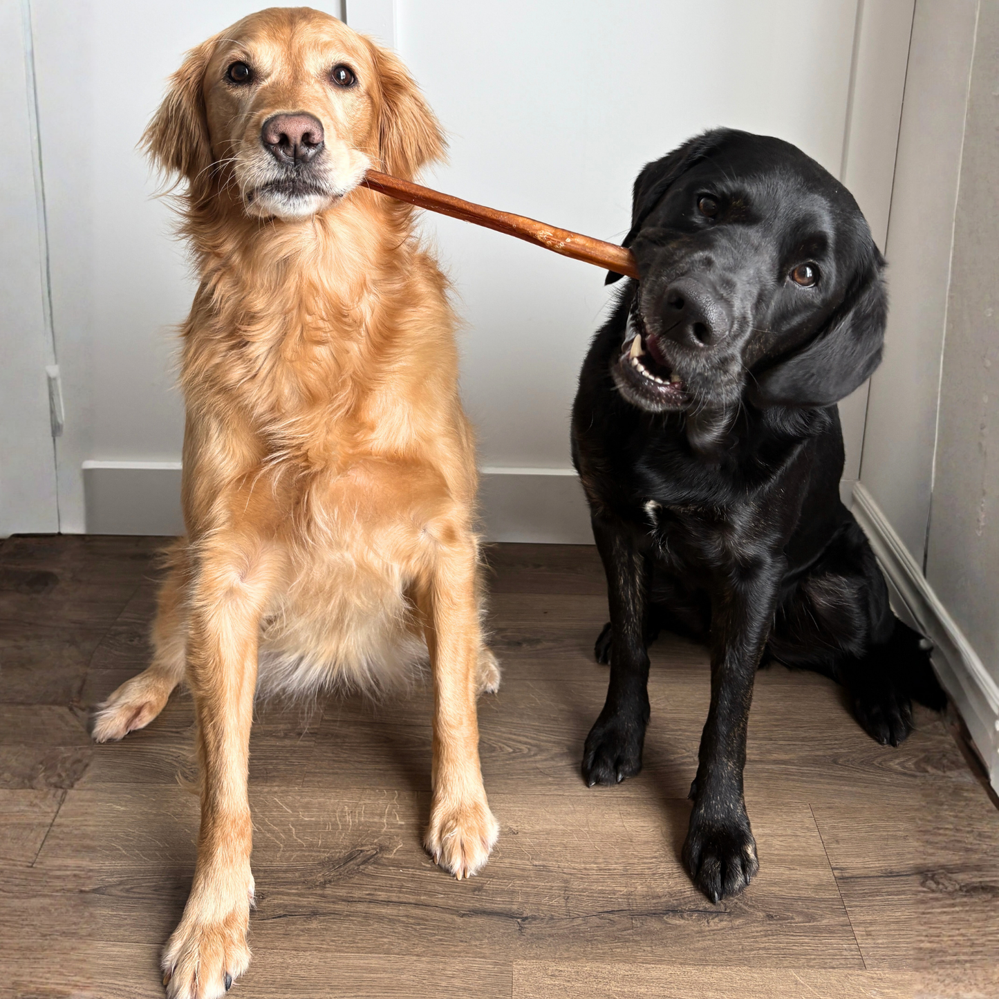 Purely Paws Natural Bully Sticks