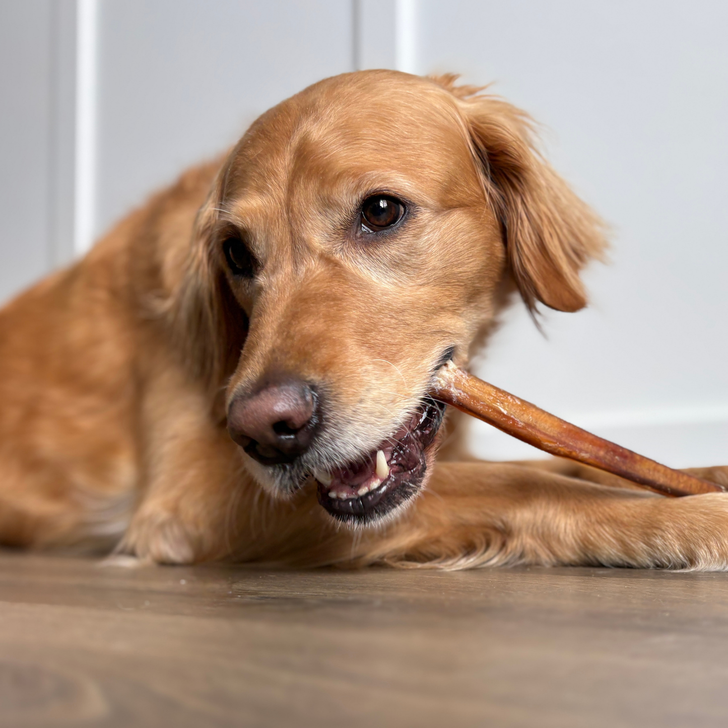Purely Paws Natural Bully Sticks