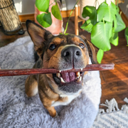 Purely Paws Natural Beef Esophagus Sticks