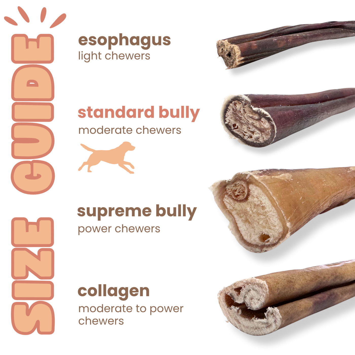Purely Paws Natural Bully Sticks